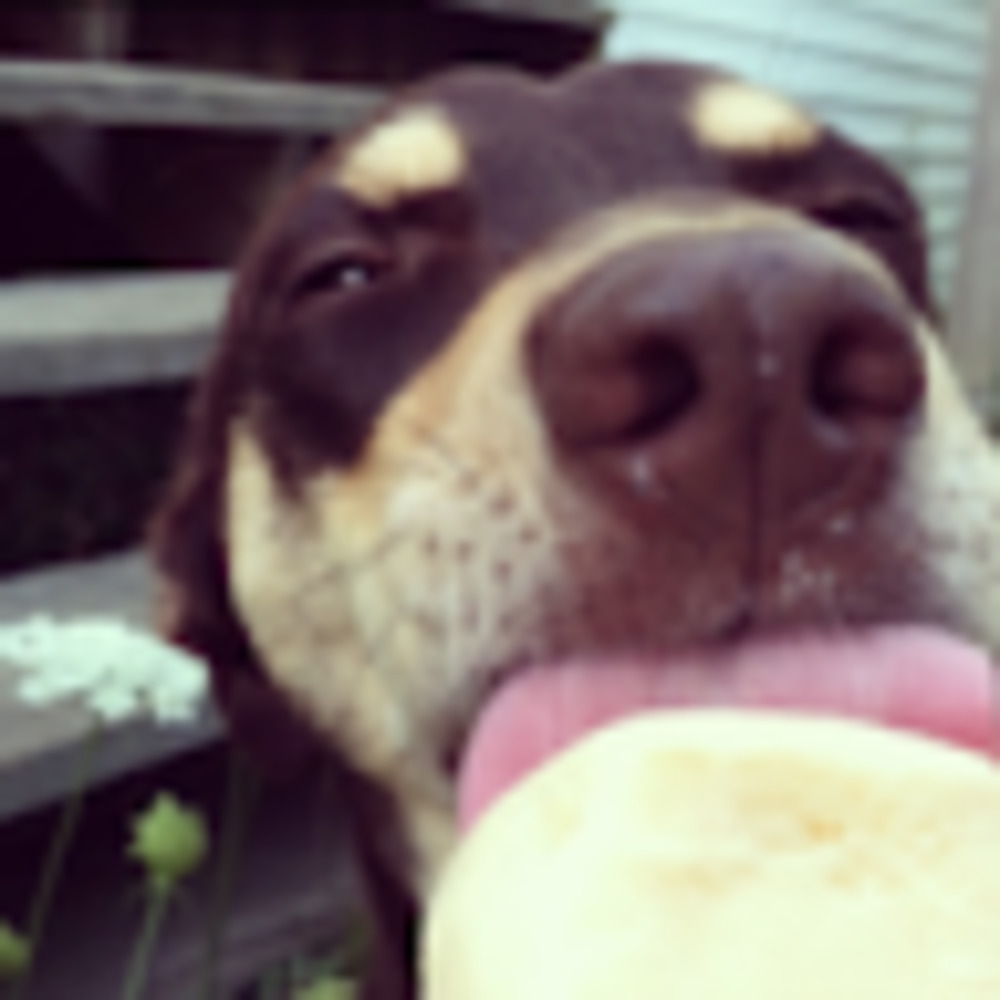 Meet your Posher, Marie